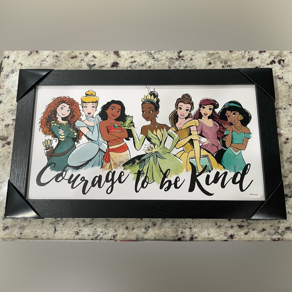 Disney Princess Picture with a black wooden frame. Brand New. NWT